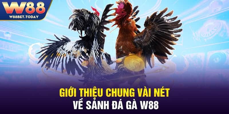 Đá gà W88 là điểm đến giải trí cực hot trong thời gian qua