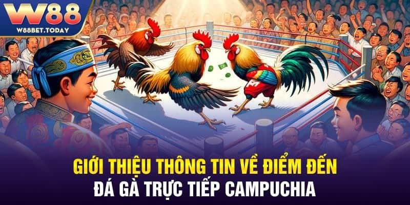 Giới Thiệu Thông tin Về Điểm Đến Đá Gà Trực Tiếp Campuchia