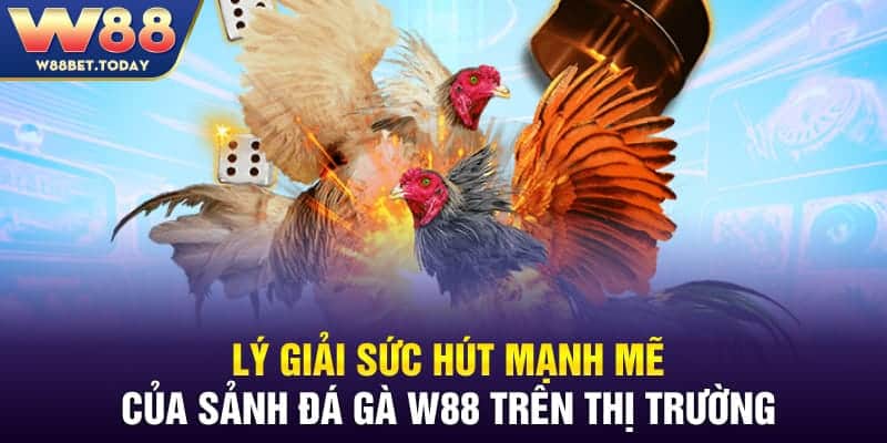 Sảnh đá gà W88 mang tới những trải nghiệm đỉnh cao nhờ hàng loạt ưu điểm