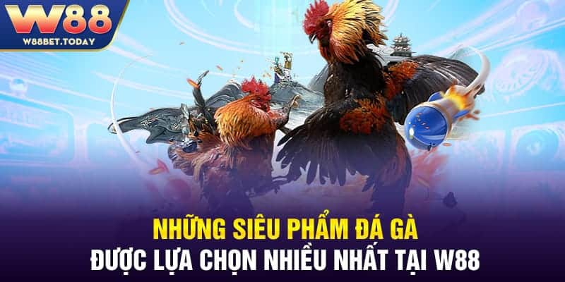 Người chơi sẽ được trải nghiệm những trận đấu đỉnh cao nhất tại đá gà W88