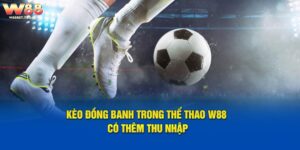 Thông Tin Chi Tiết Kèo Đồng Banh Trong Thể Thao W88